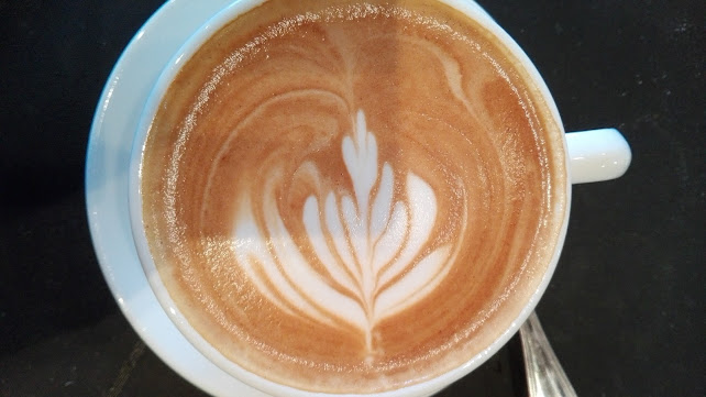 מנדרין צפרירים - חיפה