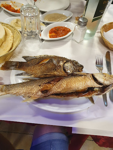 Comentarii opinii despre גולדפיש