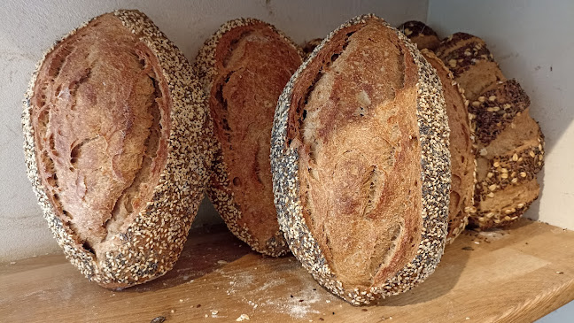 Comentarii opinii despre לשה – אפייה במדבר