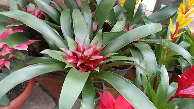 Opinii despre מקדונלד'ס - ביג באר שבע în באר שבע - הסעדה