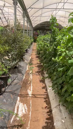 קפה בפטל - עגלת קפה וגלידה במרכז - ביתן אהרון