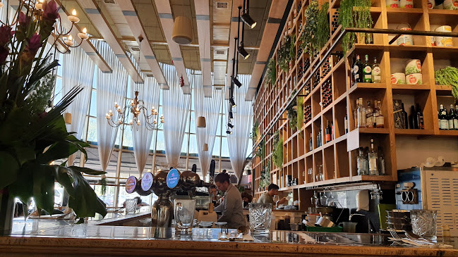 רפאלו - קריית ביאליק