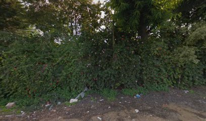 פלאפל בריבוע eat&go - גן הורדים