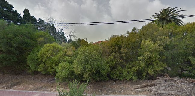 עומר טל - מטבח שף טבעוני