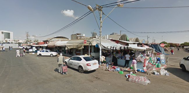 אילוז דגים בע"מ