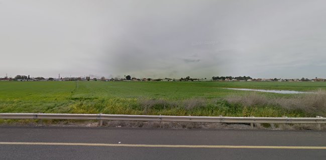 פרילנד - מגשי פירות | סושי פירות