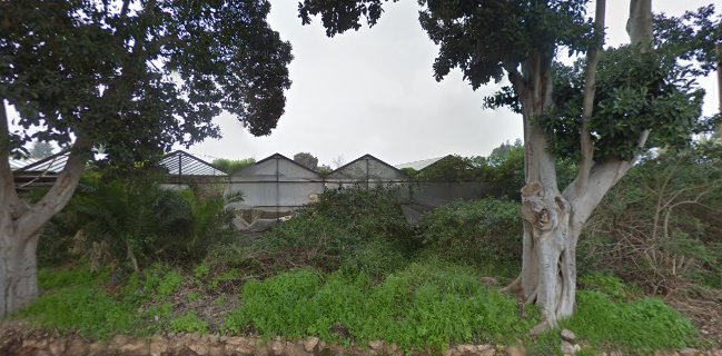 אירית כרמי עוגות מעוצבות