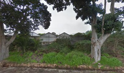 אירית כרמי עוגות מעוצבות