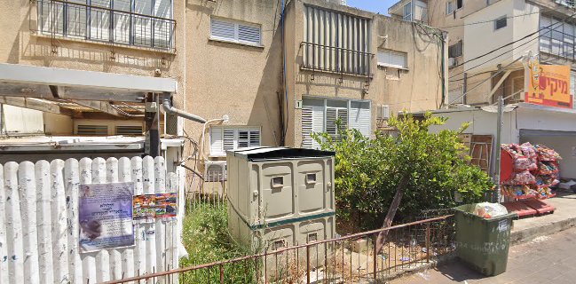 מיקי קפואים