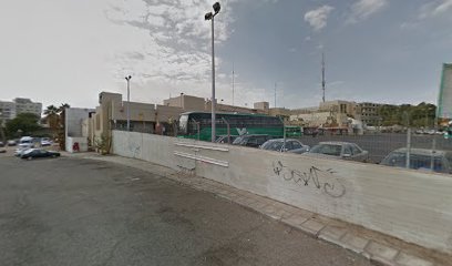 רובין-גד דל פיירו בע"מ