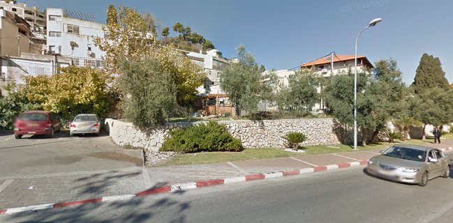 סופר דג צפת בע"מ