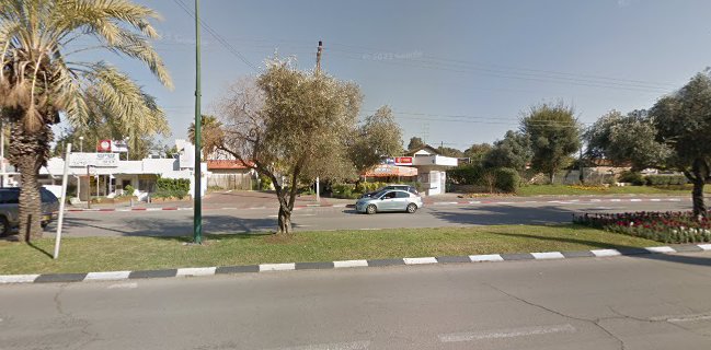 עולם הארטיקים