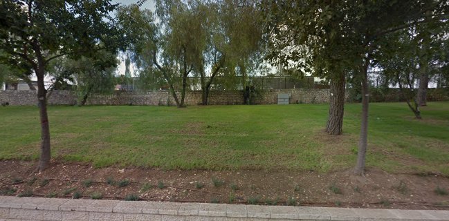 פיורי ירושלים