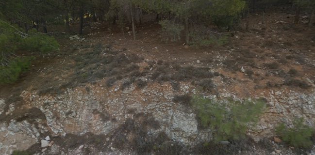 פיצה שמש רמת שלמה