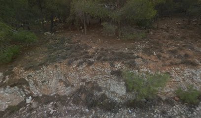 פיצה שמש רמת שלמה