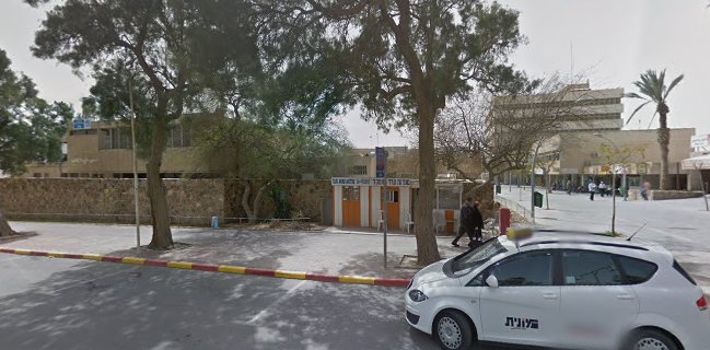 Dana asraf cakes art (דנה אסרף)