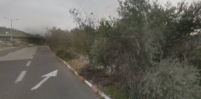 מינה טומיי - Minna Tomei חיפה, מרכז קסטרא