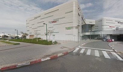 מפגש עיר ימים