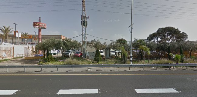 דגי רופין נהריה