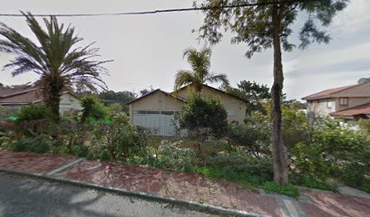 העוגות של מיכל