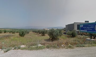 RFC Royal Fried Chicken