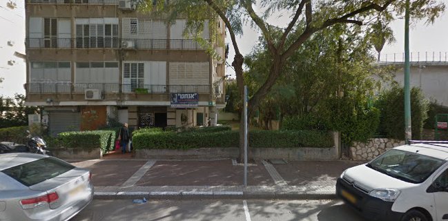 גלידרית גורדון