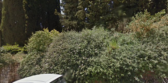 החלוצים ראש פינה בית קפה עגלת קפה