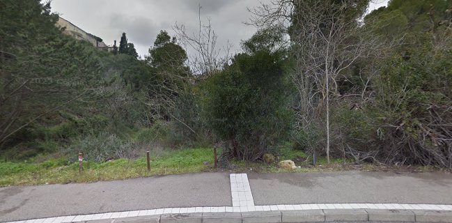 המבורגר סמאש משלוחים