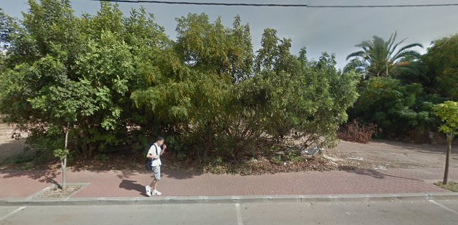 הפיצה של הראל