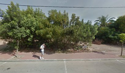 הפיצה של הראל