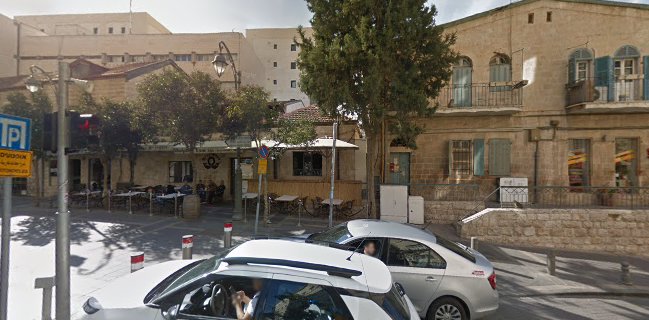 דולפין ים - Sea dolphin