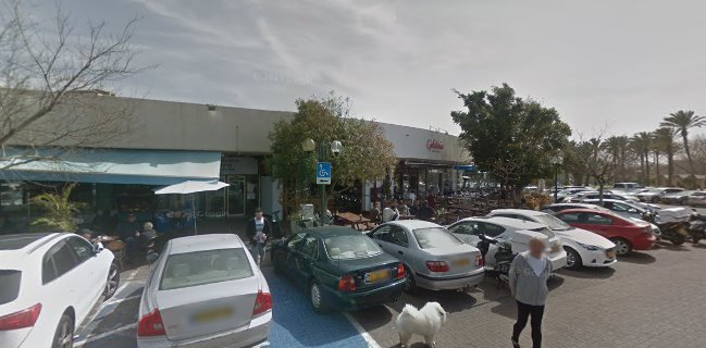 Pizza פיצה גרינברג