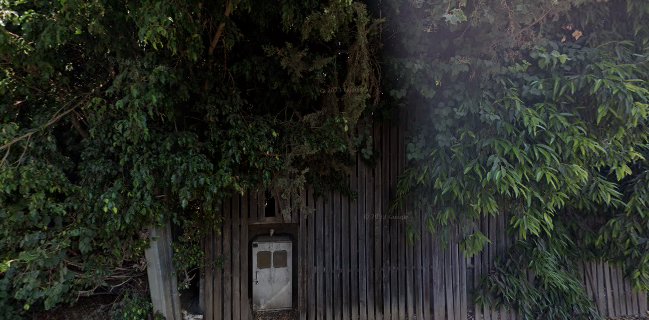 צ'אנדרה. אמיר אהרון