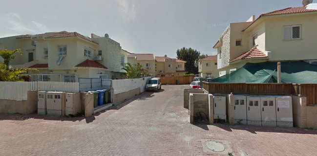 העוגות של מאיה