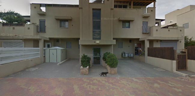 Bizarre Cocktailביזאר קוקטייל- ציוד בר ואירוח