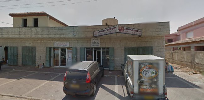 דגי האדי מיפו