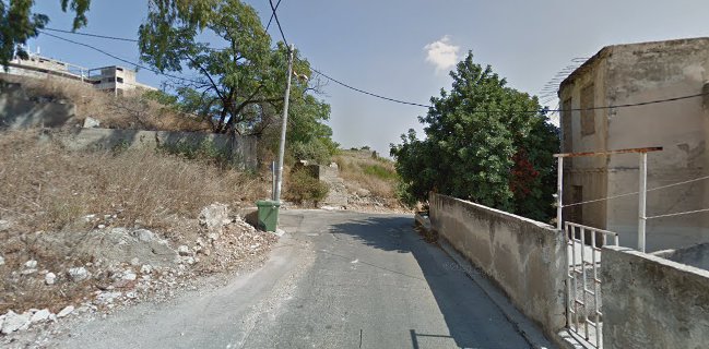 הצולנטיאדה בנווה הדר חיפה