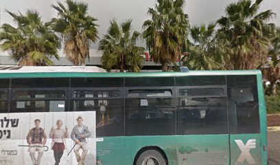 פיצה בורגר השיקמה