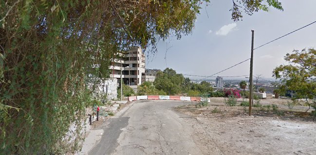 ליבוביץ - מגש של זהב