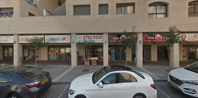 פיצוחי עץ חיים