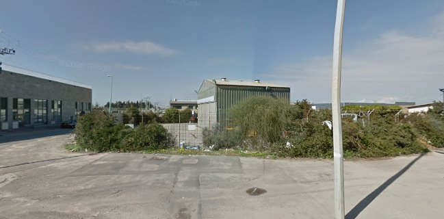 ברכת יד רחל בע"מ