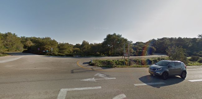 פיתה דרוזית הכרמל