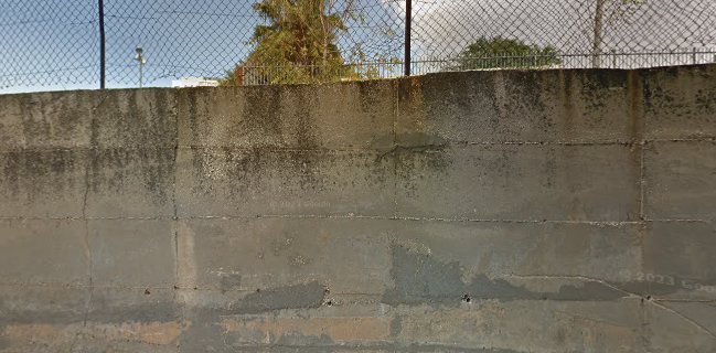 קייטרינג הולי בייגל